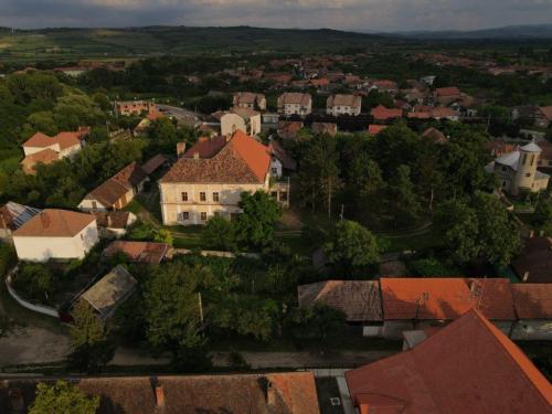 109874066 3783201301694472 1490262064599052367 o-1024x768