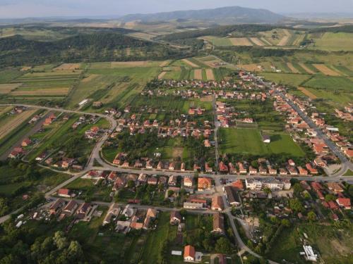 109883224 3783201445027791 2227311498182084263 o-1024x768