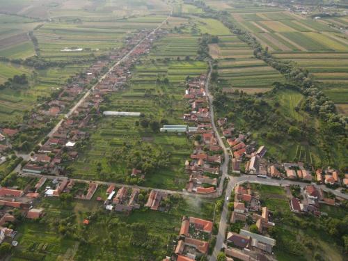 109921126 3783201438361125 1162112371983773134 o-1024x768