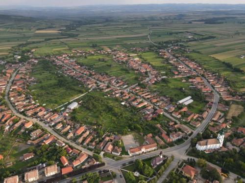 109928579 3783201958361073 5472734819902948999 o-1024x768