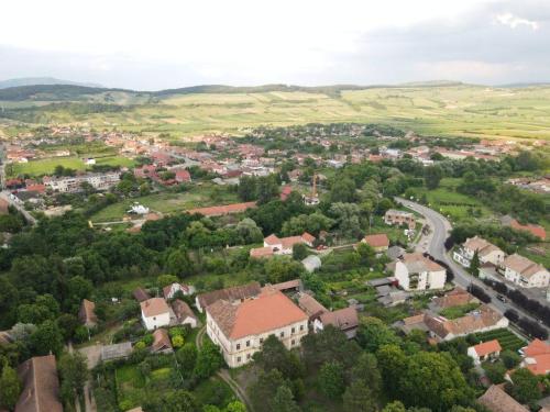 109931096 3783201028361166 8734456825395891419 o-1024x768